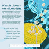 Liposomal Glutathione Vegetarian Softgels 60 Count - Advanced Antioxidant Wellness Supplement | Organic Wellness Hub