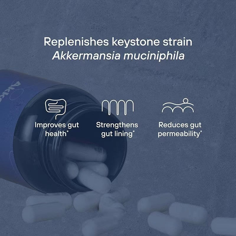 Akkermansia Muciniphila Probiotic Capsules | Advanced Gut Health Support | 30 Capsules - Organic Wellness Hub