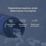 Akkermansia Muciniphila Probiotic Capsules | Advanced Gut Health Support | 30 Capsules - Organic Wellness Hub