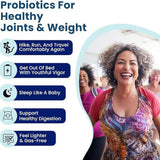 Provitalize Synbiotic Probiotic | Joint Support + Gut Health | Turmeric & Botanical Extracts | Soy Free Dairy Free Gluten Free | 60 Capsules
