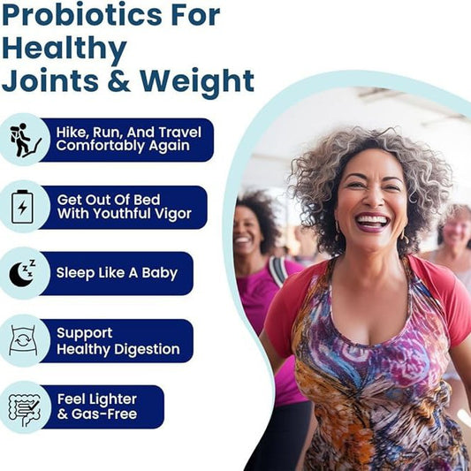 Provitalize Synbiotic Probiotic | Joint Support + Gut Health | Turmeric & Botanical Extracts | Soy Free Dairy Free Gluten Free | 60 Capsules