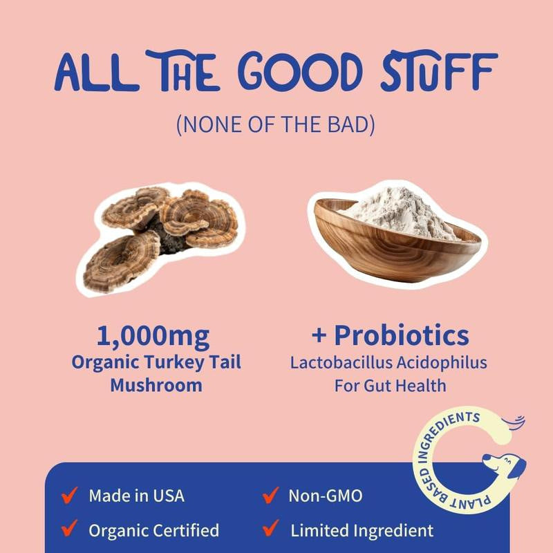 Turkey Tail+ Dog Supplement Powder with Probiotics | Immune & Gut Support | Lab Tested | Organic Wellness Hub