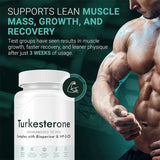 3-Pack Turkesterone 500mg Standardized to 20% | Bioperine & HP-β-CD | Natural Muscle, Strength & Recovery | Lab Tested | Organic Wellness Hub