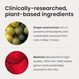 Super Beets Blood Pressure Support | Beet Root Capsules | Organic Wellness Hub