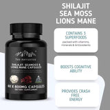 Shilajit Sea Moss & Lion's Mane Capsules 800mg - Brain, Energy & Daily Wellness Support | 60 Capsules | Organic Wellness Hub