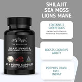 Shilajit Sea Moss & Lion's Mane Capsules 800mg 3-Pack – Brain, Energy & Daily Wellness Support | 180 Capsules | Organic Wellness Hub