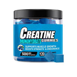 Pre Workout Powder Blueberry Lemonade 300g - Creatine & Beta-Alanine Performance Formula | Organic Wellness Hub