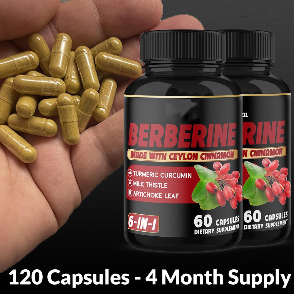 Berberine Complex 6-in-1 with Ceylon Cinnamon, Turmeric, Milk Thistle & Artichoke | 60 Capsules | Organic Wellness Hub