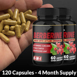 Berberine Complex 6-in-1 with Ceylon Cinnamon, Turmeric, Milk Thistle & Artichoke | 60 Capsules | Organic Wellness Hub
