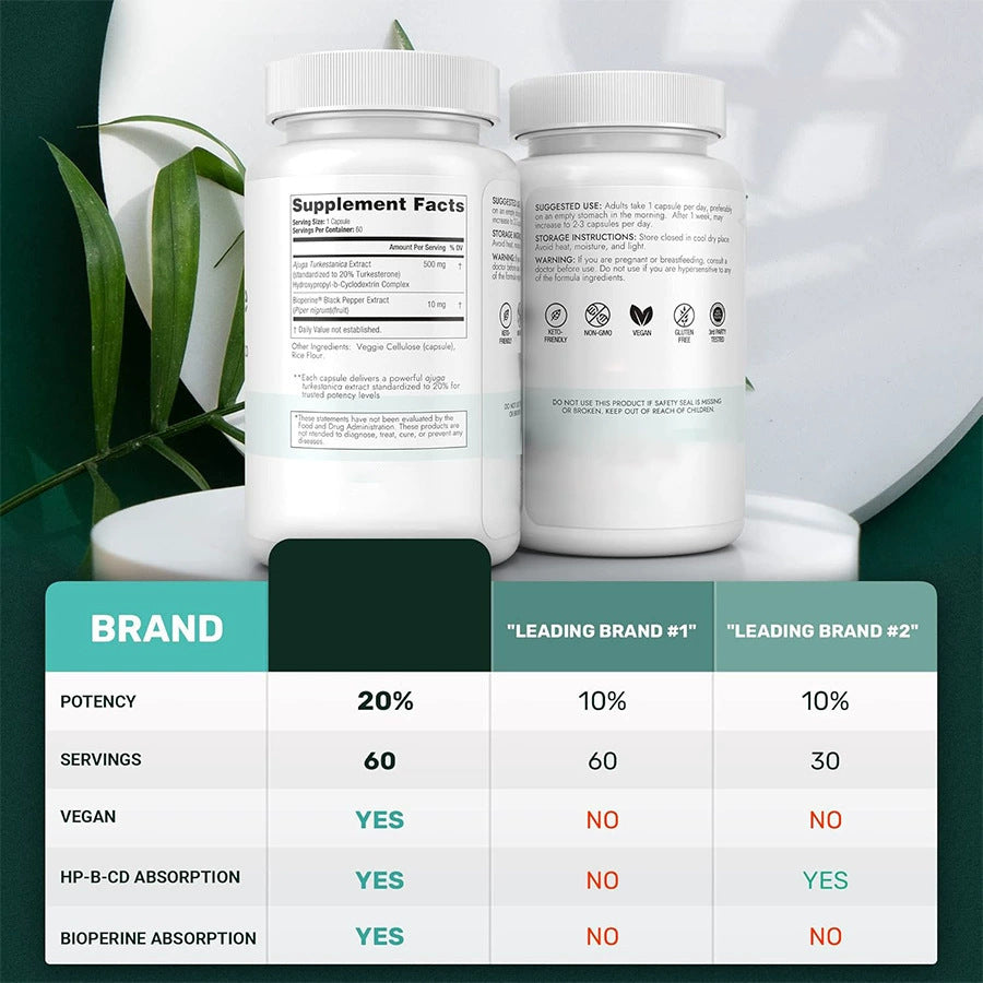 Turkesterone 500mg | Standardized to 20% with Bioperine & HP-CD | Natural Muscle, Strength & Performance Supplement | 3rd Party Tested | Organic Wellness Hub