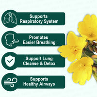 LOCRED Natural Mucus & Lung Detox Tea | Mullein Leaf & American Ginseng | Respiratory Support Herbal Tea ? 15 Individual Tea Bags