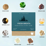 All Natural Fresh Breath Remineralizing Gum | Sugar Free | Mastic Mint | 18 Pieces | Organic Wellness Hub