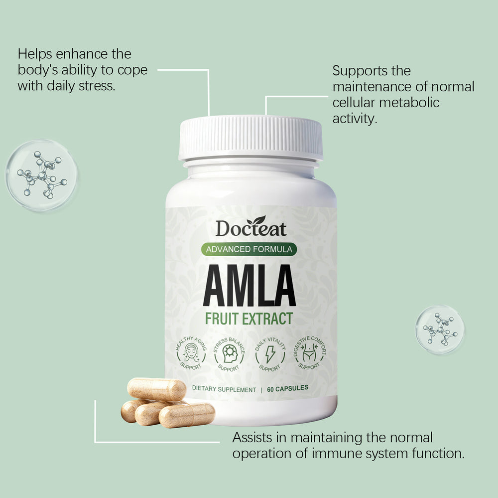 Amla Fruit Extract Capsules 60 Count - Antioxidant Support, Immune Health & Daily Wellness | Organic Wellness Hub