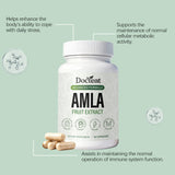 Amla Fruit Extract Capsules 60 Count - Antioxidant Support, Immune Health & Daily Wellness | Organic Wellness Hub