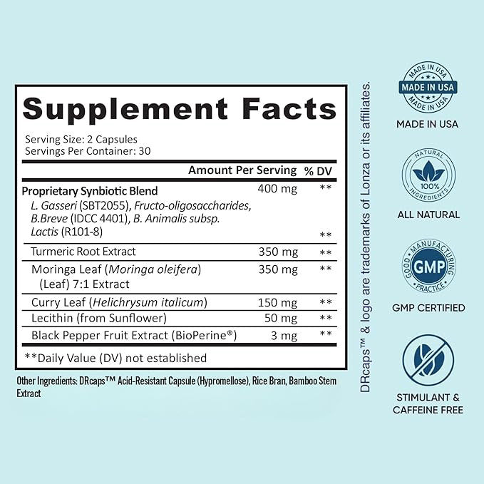 Provitalize Synbiotic Probiotic | Joint Support + Gut Health | Turmeric & Botanical Extracts | Soy Free Dairy Free Gluten Free | 60 Capsules