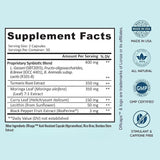 Provitalize Synbiotic Probiotic | Joint Support + Gut Health | Turmeric & Botanical Extracts | Soy Free Dairy Free Gluten Free | 60 Capsules