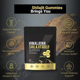 Himalayan Shilajit Gold Gummies 3000mg with Ashwagandha & Black Musli | Organic Wellness Hub